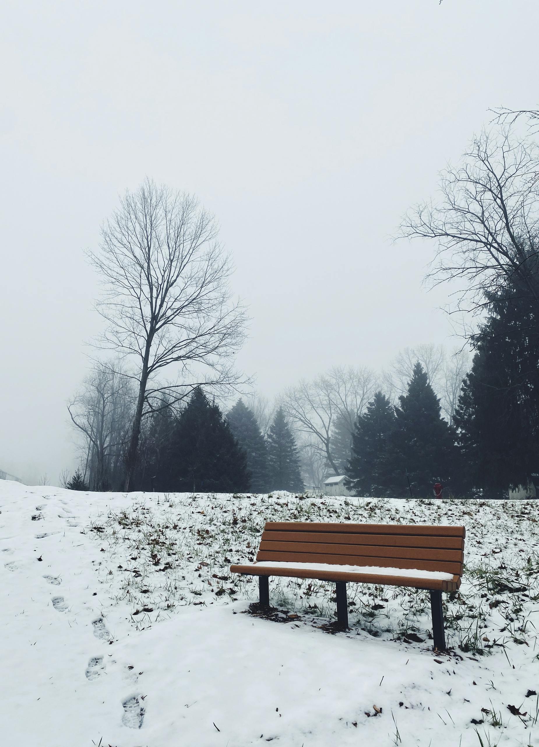 A tranquil winter scene featuring a lone wooden bench in a snow-covered park.