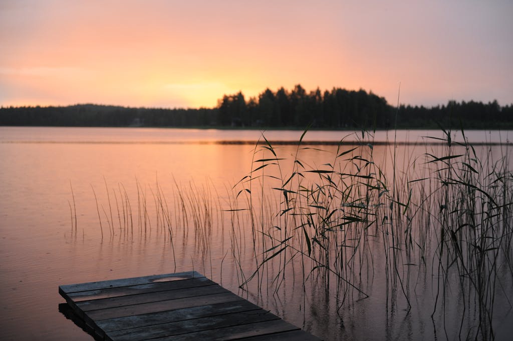 Peaceful sunset view over a lake with a wooden pier and reeds, capturing tranquility and nature's beauty.